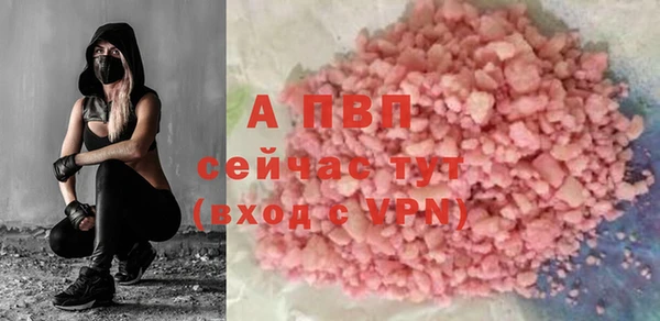 амф Приозерск
