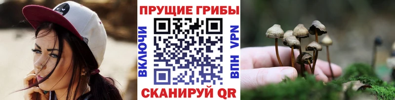 где купить наркоту  ОМГ ОМГ ССЫЛКА  Псилоцибиновые грибы GOLDEN TEACHER  Андреаполь 